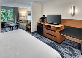 Fairfield Inn & Suites by Marriott Frankenmuth 4