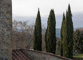 Tenuta Decimo - Il Borgo Di Mariano 3