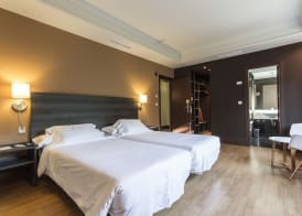 Hotel Rio Bidasoa 4