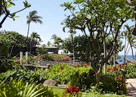 Hyatt Regency Maui Resort & Spa 3