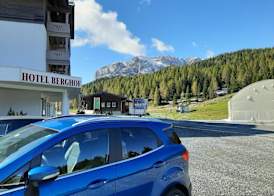 Hotel Berghof 2