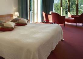 Hotel Saratz Pontresina Mountain Resort & Spa 4