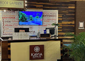 Hotel Kavia 5th Avenida 4