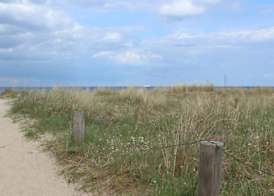 Meeressterne Strandhäuser Blankenfohrt 2