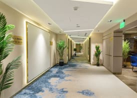 Green Park Hotel 2