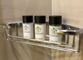 Hotel Harmony by Aycon 3