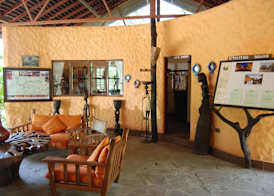 Tipilikwani Mara Camp 2
