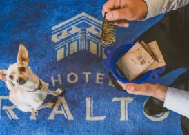 Hotel Rialto 5