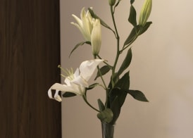 Azure Beach Boutique Hotel 4