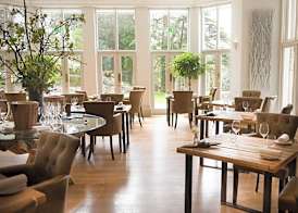 Forest Side Hotel 5