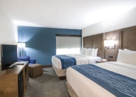 Comfort Inn & Suites Downtown Brickell - Port of Miami 4