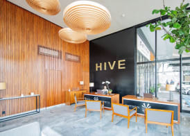 Hive Cancun by G Hotels 5