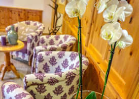 Ortner's Resort 3
