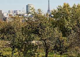 Domaine de la Reine Margot Paris-Issy - MGallery Collection 5