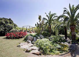 Ona Palmira Paradise 3