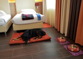 Best Western Plus Soave Hotel 3
