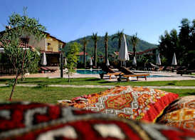 Efe Hotel Gocek 5