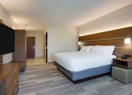Holiday Inn Express & Suites TAMPA-FAIRGROUNDS-CASINO by IHG 4