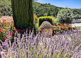 Domaine Ribiera, Hotel 5 Etoiles, SPA & Golf - Forcalquier 2