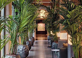 The Florentin by Althoff Collection 4