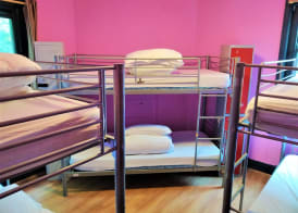 The Phoenix Hostel Paddington 4