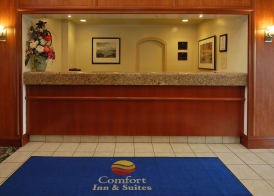 Comfort Inn & Suites San Francisco Airport North 5