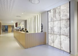 Reykjavik Natura - Berjaya Iceland Hotels 4