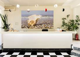 Terinikos Sunny Garden Hotel & Junior Suites 3