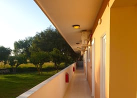 Jenny Hotel 2