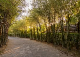 The Shells Resort & Spa Phu Quoc 3