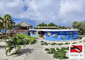 Chogogo Dive & Beach Resort Curaçao 3