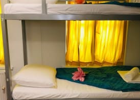 Space Hostel Amsterdam Zaandam 5