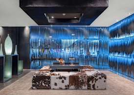 Hotel AC Baqueira Ski Resort, Autograph Collection 5