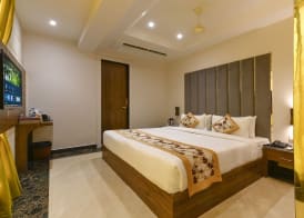 Hotel Avalon Palms Agra 4