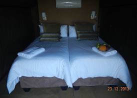 Amafu Forest Lodge 5