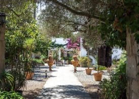 Hotel Rural Biniarroca - Adults Only 3