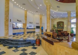 Blend Elphistone Resort Marsa Alam 3