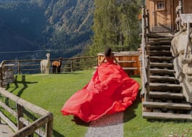Hotel Chalet Al Foss - Adults Only 5