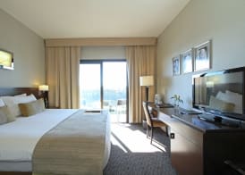 Panoramic Grand 5
