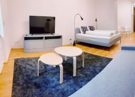 Residence u Naplavky 2