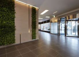Nine Tree by Parnas Seoul Myeongdong 2 2