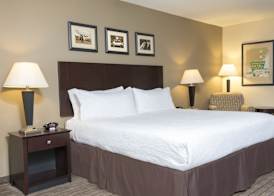 Holiday Inn AURORA NORTH- NAPERVILLE by IHG 5