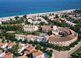 ALEGRIA Pino Alto 2