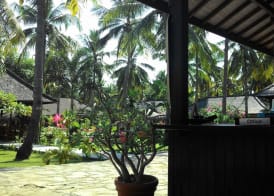Trawangan Oasis 3