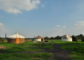 Worcester Glamping 4