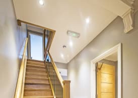 Dolphin Rooms 2