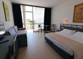 Palace Hotel Regina 5