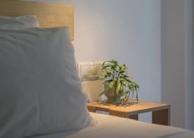 Aspras Luxury Apartments 2