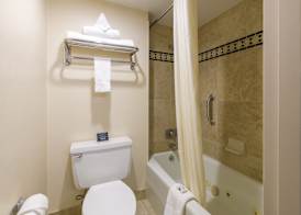 Grand Vista Hotel Grand Junction 4