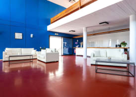 Hippocampus Hotel 3